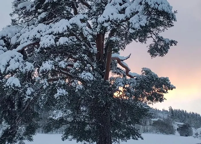 Panoramic Mountain Views, Space For The Whole Family